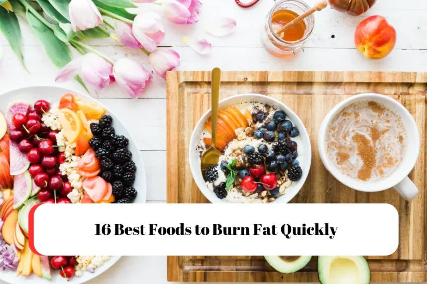 16 Best Foods to Burn Fat Quickly